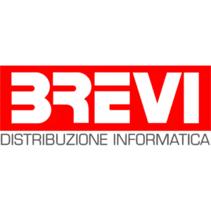 fornitore dropshipping brevi